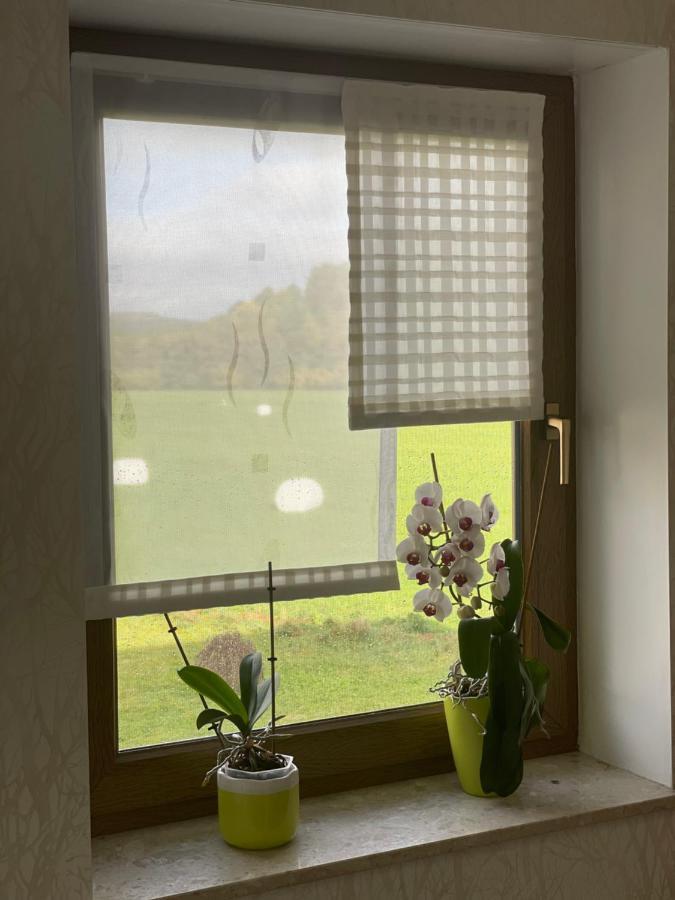 Ferienwohnung Fam.Werner Wasungen Экстерьер фото